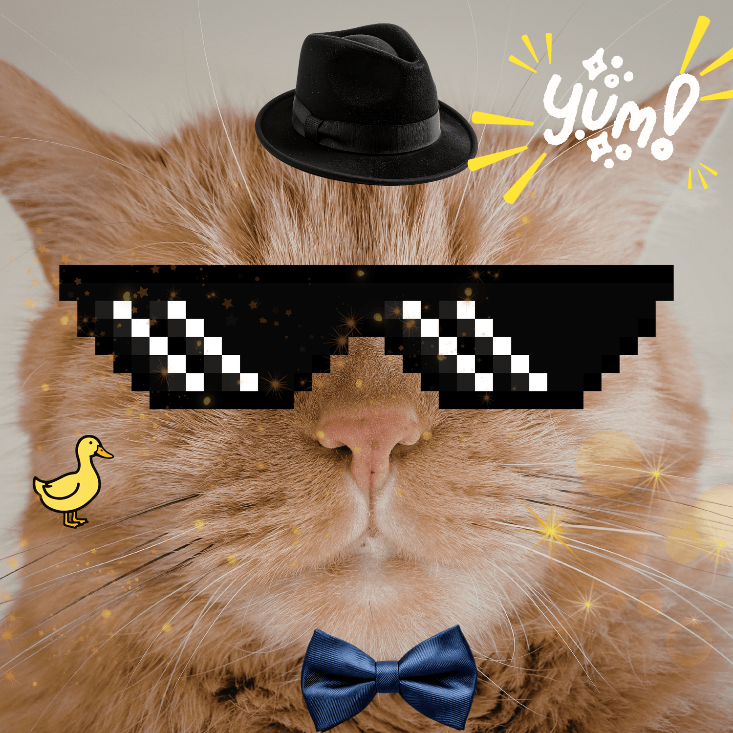 The Random Stuff - G-Catoure