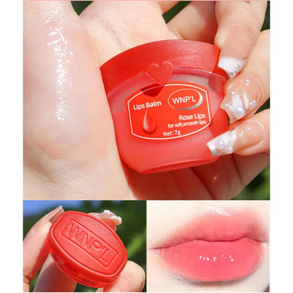 Moisturizing Lip Balm Set | 4/6/8pcs Natural Plant-Based Anti-Cracking Lip Care