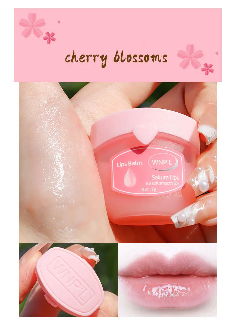 Moisturizing Lip Balm Set | 4/6/8pcs Natural Plant-Based Anti-Cracking Lip Care
